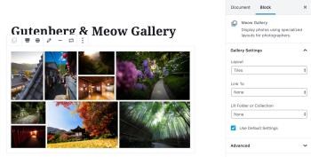 Meow Gallery Pro - Gallery for WordPress
